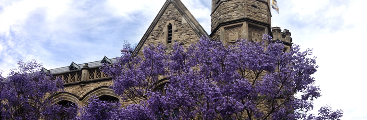 What I admire in Adelaide?
