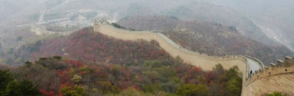Chinese cultural orientation: collectivism