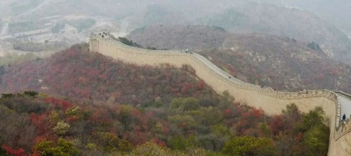 Chinese cultural orientation: collectivism
