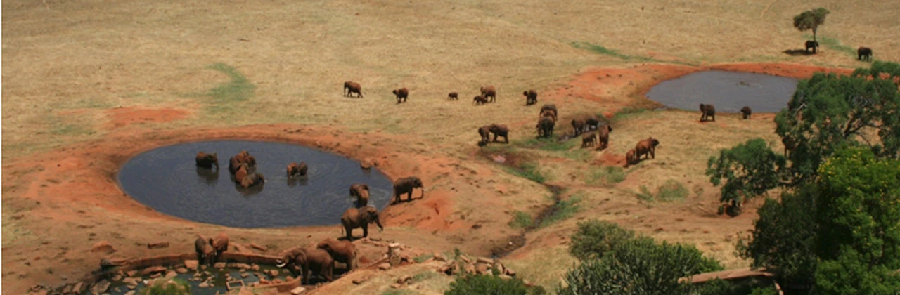 Kenya 2010